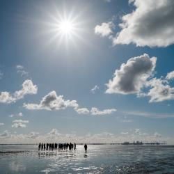 Die beliebtesten Campingplätze in Europa Platz 12 Camping am Deich/Nordsee - (c) camping.info