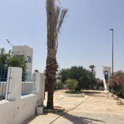Die Synagoge gehört zum touristischen Besuchsprogramm auf Djerba und ist streng gesichert - (c) Enric Boixadós